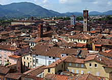 Panorama över Lucca från Torre Guinigi.  