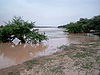 Reka Béli v deževnem obdobju