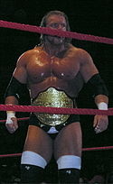 Triple H作为世界重量级冠军。