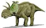 Albertaceratops .