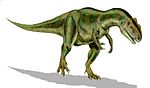 Allosaurus .