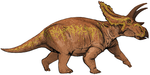 Anchiceratopsas .