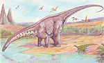 Apatosaurus .