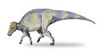 Brachylophosaurus .