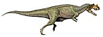 Ceratosaurs .