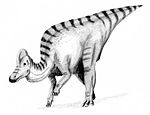 Коритозавр .