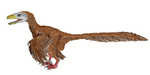 Deinonychus .