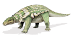 Edmontonia .