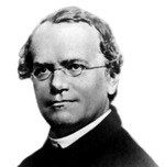 Gregor Mendel, vader van de moderne genetica.  