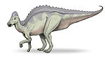 Hypacrosaurus .