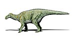 Iguanodonas .