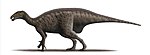 Mantellisaurus .