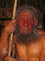 Deze reconstructie is in het Neanderthal Museum
