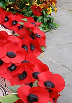 Vlčí máky jsou ve Spojeném království symbolem Dne vzpomínek 11. listopadu.