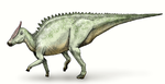Saurolophus .