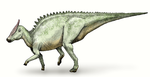 Saurolophus  