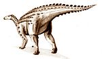 Scelidosaurus .