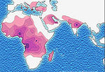 Verteilung des Sichelzell-Merkmals in rosa und violett dargestellt