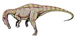 Suchomimus .