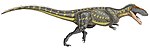 Torvosaurus .