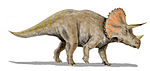 Triceratopsas .