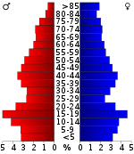 Pyramida obyvatelstva  