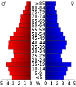 Pirámide de población  