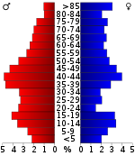 Väestöpyramidi