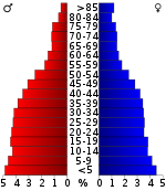 Pyramida obyvatelstva  