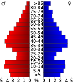 Befolkningspyramid  