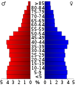 Pirámide de edad  