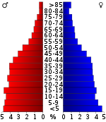 Věková pyramida  