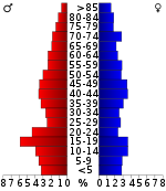 Věková pyramida  