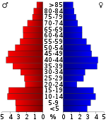 Leeftijdspiramide  