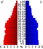 Gyventojų piramidė