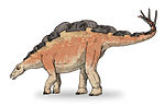 Wuerhosaurus  