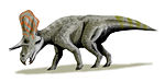 Zuniceratops .