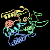 carboxipeptidase A