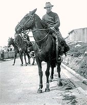 Falklanders te paard in 1936, in typische Falkland-stijl, met het gebruikelijke gaucho-paardentuig