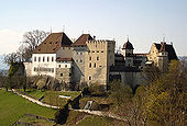 Castelo Lenzburg como visto do sul