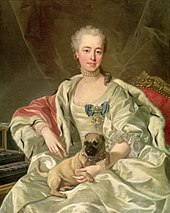 Portret van prinses Ekaterina Dmitrievna Golitsyna door Louis-Michel van Loo (1759)