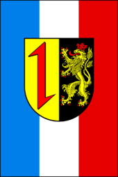 Mannheim city flag