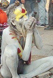 Sadhu during Shivaratri