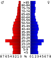 Bevölkerungspyramide