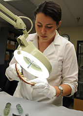 En konservator vid Naval History and Heritage Command inspekterar en keramikbit som hittats från vraket av krigsslupen USS Scorpion.  