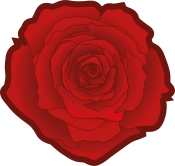 Uma rosa vermelha, o símbolo da social-democracia.