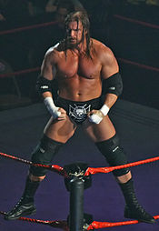 Triple H, die John Cena uitdaagde voor het WWE-kampioenschap...