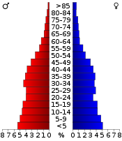 Pirámide de población  