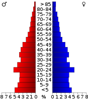 Befolkningspyramid  