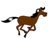 Animovaný kůň.